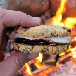 Chocolate Chip and Hazelnut cookie smores